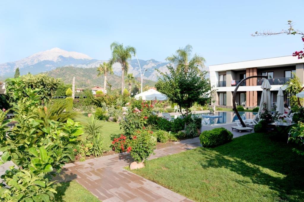 Mandalina Apartments Ağva Exteriör bild