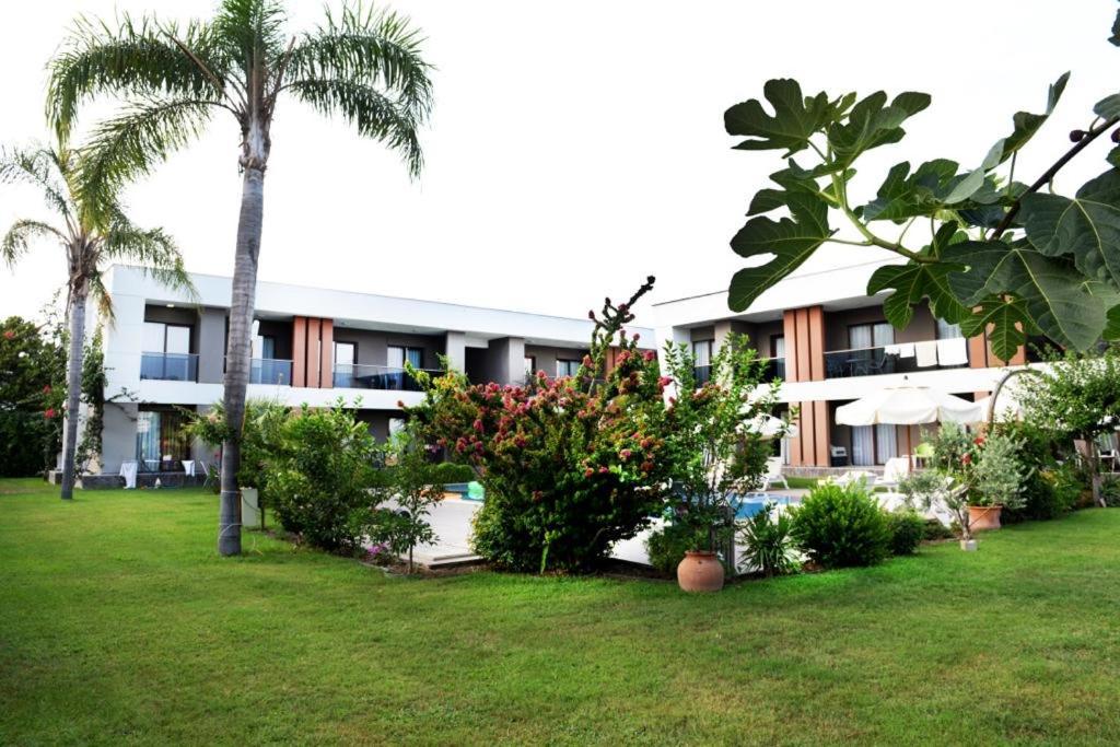 Mandalina Apartments Ağva Exteriör bild